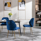 Julie Velvet Dining Chairs 2PCs Blue