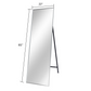 Adm Mirror Silver 65"X22"